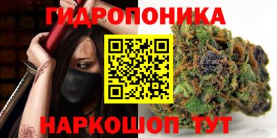 твердый Новокубанск