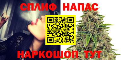 твердый Новокубанск