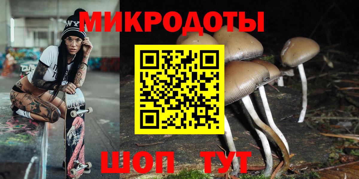 Галлюциногенные грибы Cubensis Спасск-Дальний
