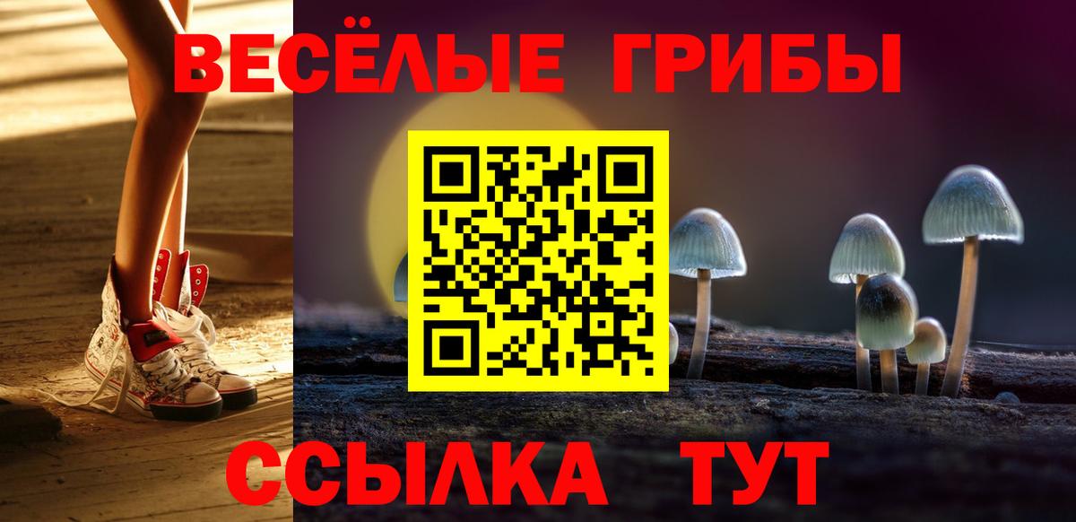 Псилоцибиновые грибы ЛСД  Вход с VPN  купить  цена  Спасск-Дальний 