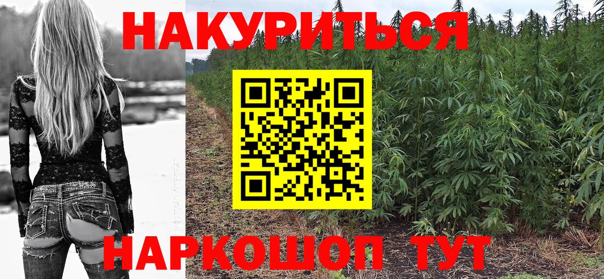 Конопля план  Марихуана план  Спасск-Дальний  Вход с VPN 